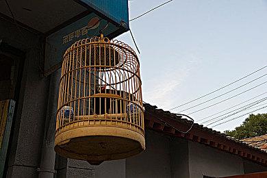 据日本广告显示 《索尼克 未知边境》将于11月8日发售 